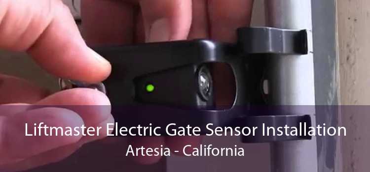 Liftmaster Electric Gate Sensor Installation Artesia - California