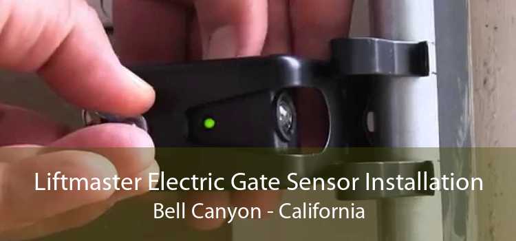 Liftmaster Electric Gate Sensor Installation Bell Canyon - California