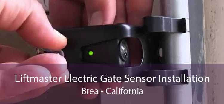 Liftmaster Electric Gate Sensor Installation Brea - California