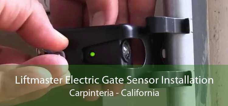 Liftmaster Electric Gate Sensor Installation Carpinteria - California