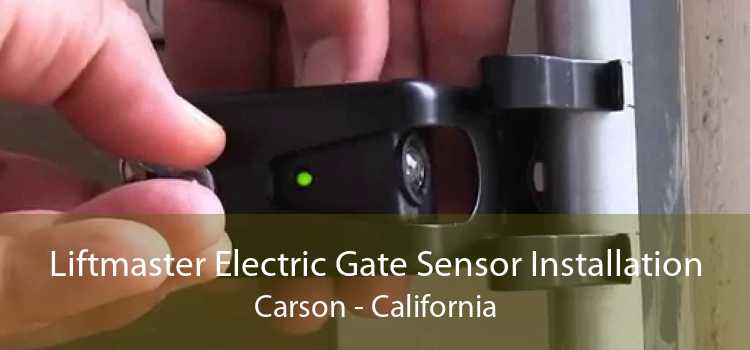 Liftmaster Electric Gate Sensor Installation Carson - California