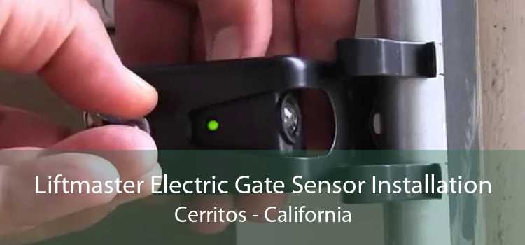 Liftmaster Electric Gate Sensor Installation Cerritos - California