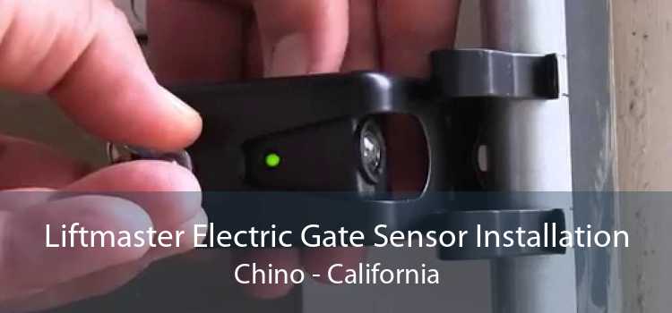 Liftmaster Electric Gate Sensor Installation Chino - California