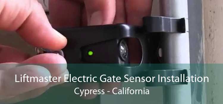 Liftmaster Electric Gate Sensor Installation Cypress - California