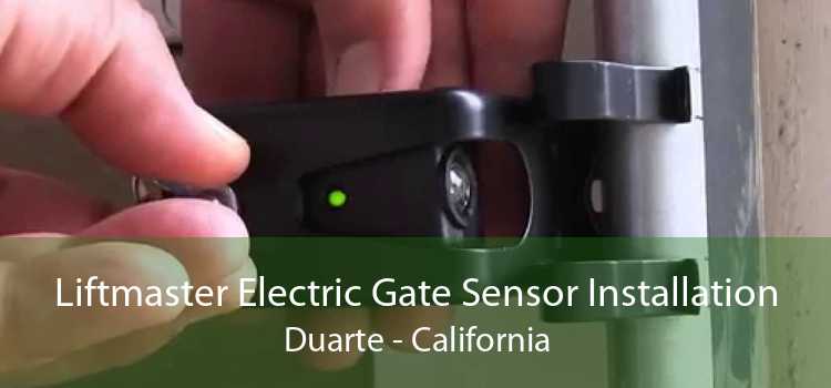 Liftmaster Electric Gate Sensor Installation Duarte - California