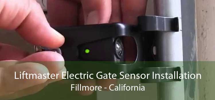 Liftmaster Electric Gate Sensor Installation Fillmore - California