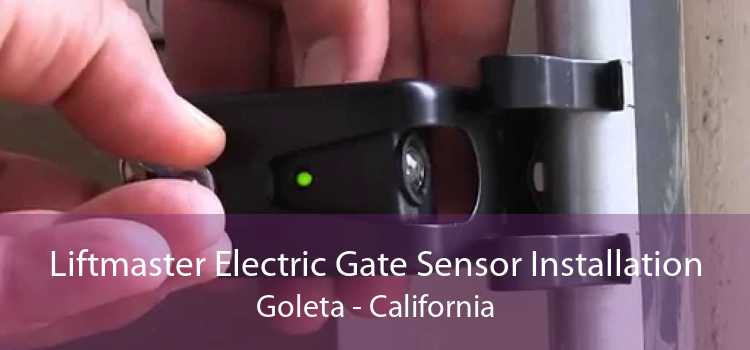 Liftmaster Electric Gate Sensor Installation Goleta - California