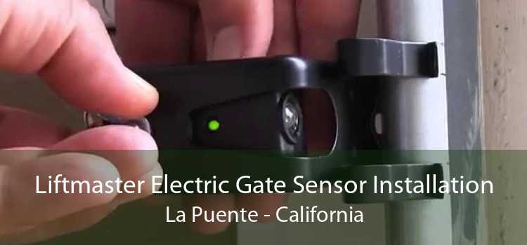 Liftmaster Electric Gate Sensor Installation La Puente - California