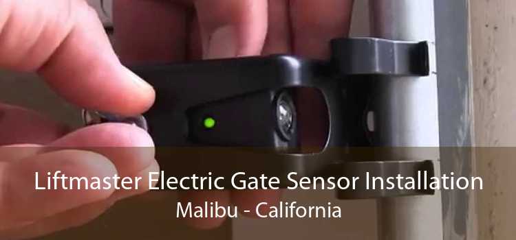 Liftmaster Electric Gate Sensor Installation Malibu - California