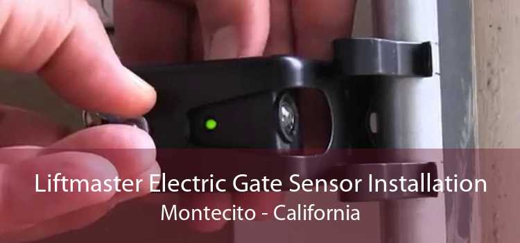 Liftmaster Electric Gate Sensor Installation Montecito - California