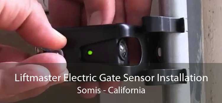 Liftmaster Electric Gate Sensor Installation Somis - California