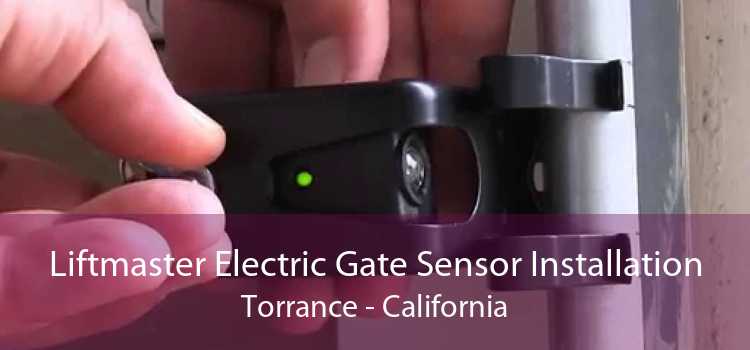 Liftmaster Electric Gate Sensor Installation Torrance - California