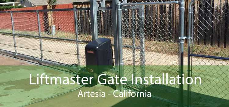 Liftmaster Gate Installation Artesia - California