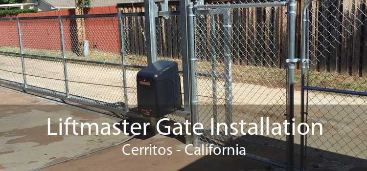 Liftmaster Gate Installation Cerritos - California