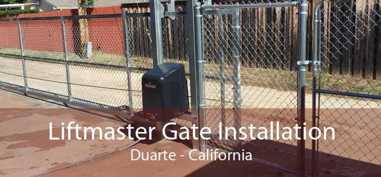 Liftmaster Gate Installation Duarte - California