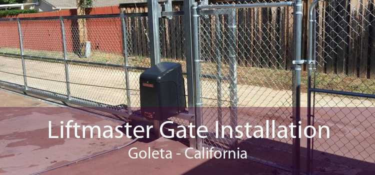 Liftmaster Gate Installation Goleta - California