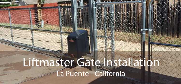 Liftmaster Gate Installation La Puente - California