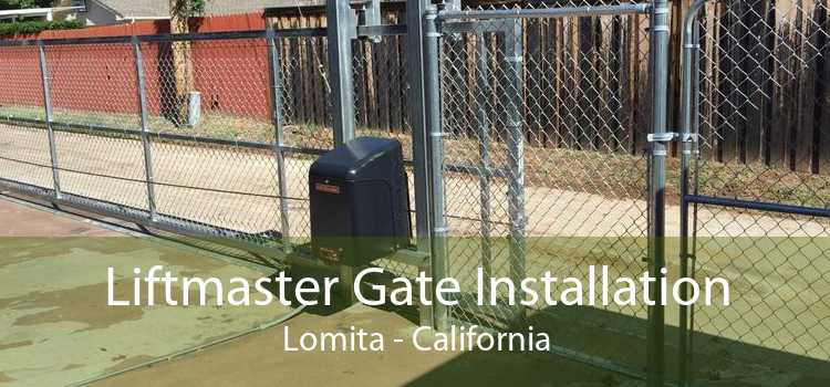 Liftmaster Gate Installation Lomita - California