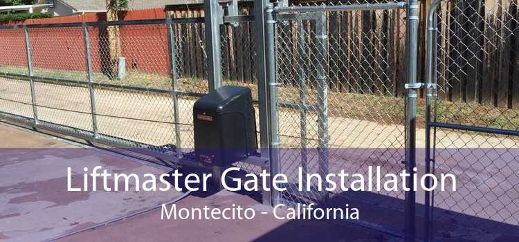 Liftmaster Gate Installation Montecito - California