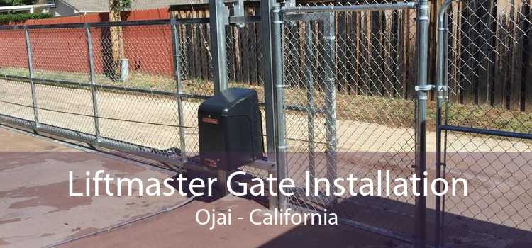 Liftmaster Gate Installation Ojai - California