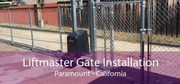 Liftmaster Gate Installation Paramount - California