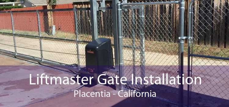 Liftmaster Gate Installation Placentia - California