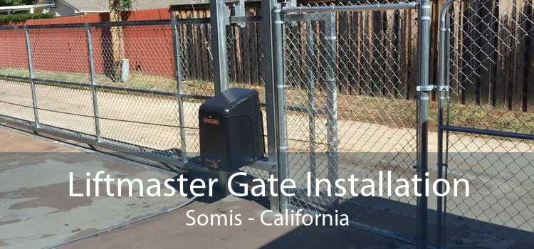 Liftmaster Gate Installation Somis - California