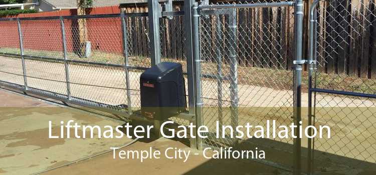 Liftmaster Gate Installation Temple City - California