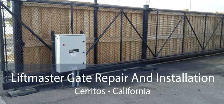 Liftmaster Gate Repair And Installation Cerritos - California