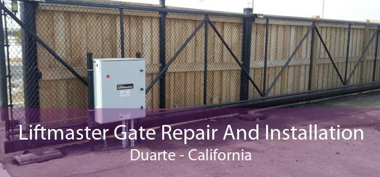 Liftmaster Gate Repair And Installation Duarte - California