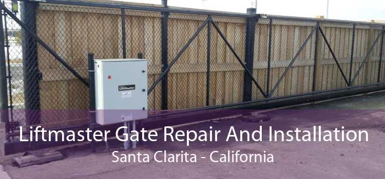 Liftmaster Gate Repair And Installation Santa Clarita - California