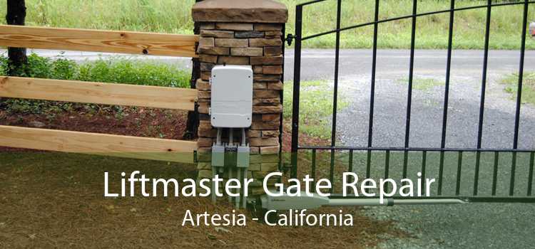 Liftmaster Gate Repair Artesia - California