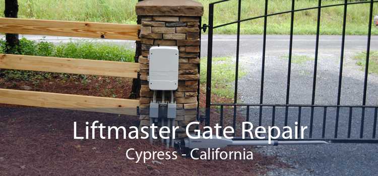 Liftmaster Gate Repair Cypress - California