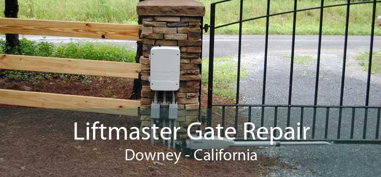 Liftmaster Gate Repair Downey - California