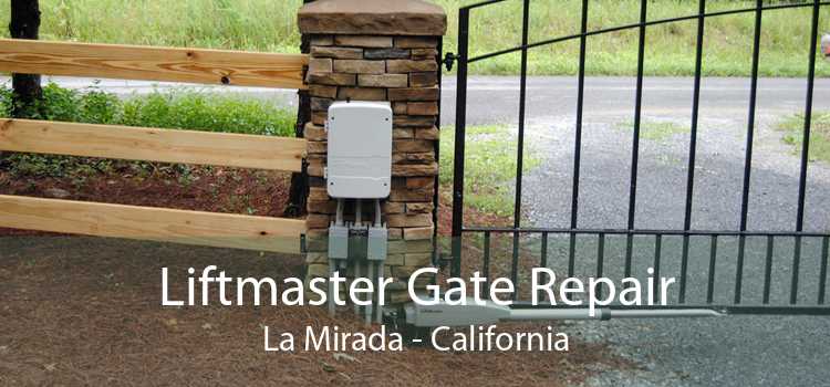 Liftmaster Gate Repair La Mirada - California