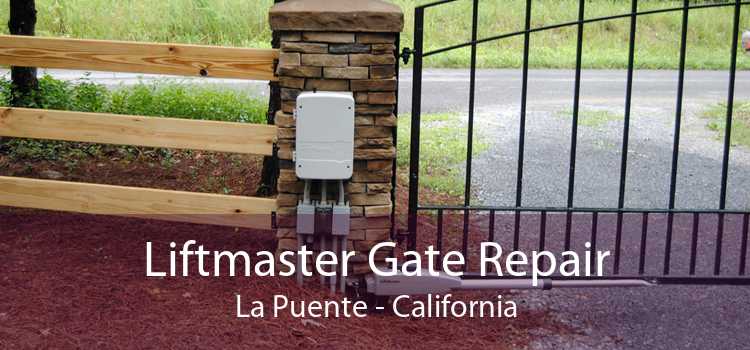 Liftmaster Gate Repair La Puente - California