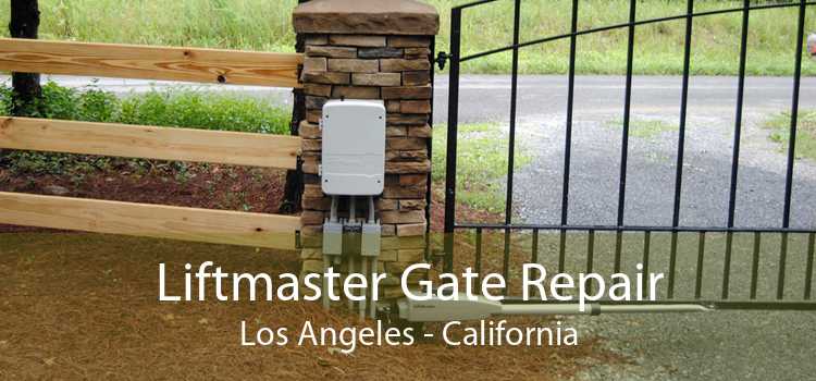 Liftmaster Gate Repair Los Angeles - California