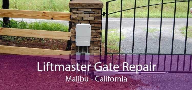 Liftmaster Gate Repair Malibu - California