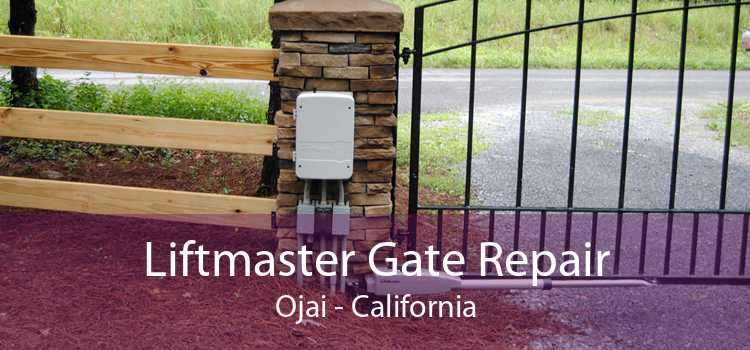 Liftmaster Gate Repair Ojai - California