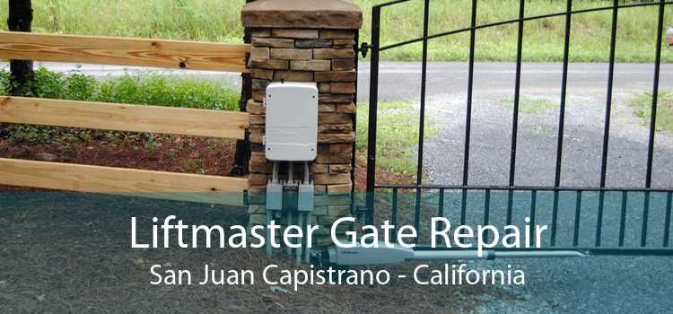 Liftmaster Gate Repair San Juan Capistrano - California