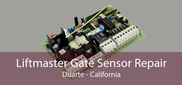 Liftmaster Gate Sensor Repair Duarte - California