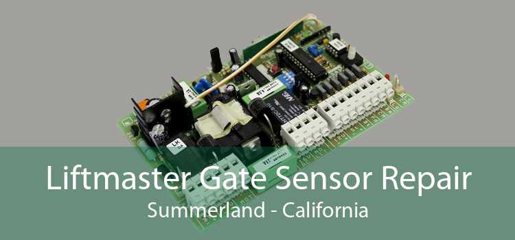 Liftmaster Gate Sensor Repair Summerland - California