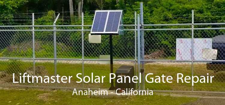 Liftmaster Solar Panel Gate Repair Anaheim - California