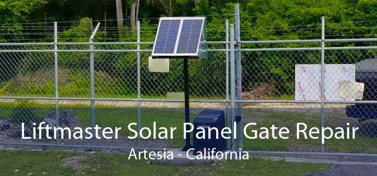 Liftmaster Solar Panel Gate Repair Artesia - California