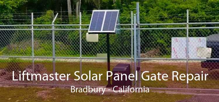 Liftmaster Solar Panel Gate Repair Bradbury - California