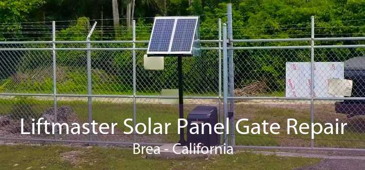 Liftmaster Solar Panel Gate Repair Brea - California