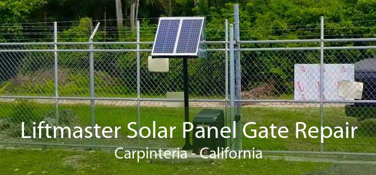 Liftmaster Solar Panel Gate Repair Carpinteria - California