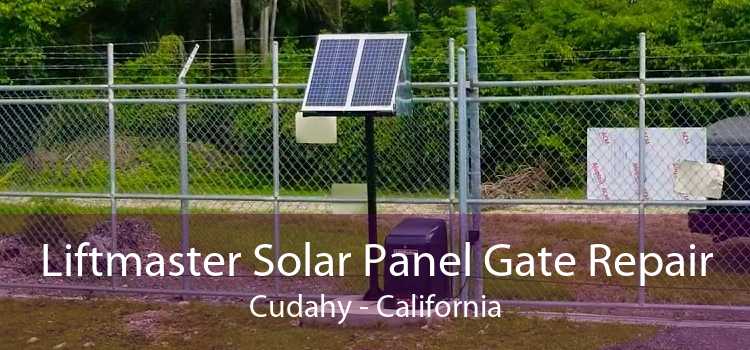 Liftmaster Solar Panel Gate Repair Cudahy - California