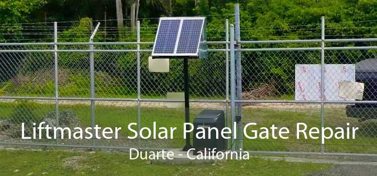 Liftmaster Solar Panel Gate Repair Duarte - California