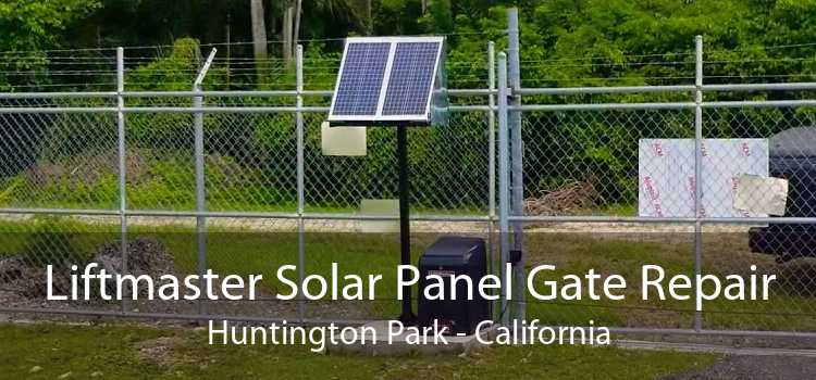 Liftmaster Solar Panel Gate Repair Huntington Park - California